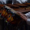 44° Raduno Concerti 4 Giugno 2016 - Seconda Serata