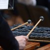 44° Raduno Concerti 8 Giugno 2016 - Terza Serata
