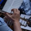 44° Raduno Concerti 8 Giugno 2016 - Terza Serata