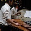 44° Raduno Concerti 8 Giugno 2016 - Terza Serata