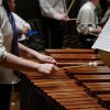 44° Raduno Concerti 9 Giugno 2016 - Quarta Serata