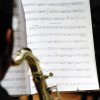 44° Raduno Concerti 10 Giugno 2016 - Quinta Serata