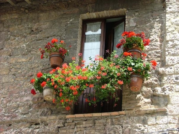 Umbria 2009 - Bevagna e Assisi (Foto Marco Favaro)