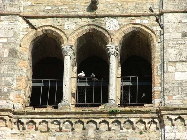 Umbria 2009 - Bevagna e Assisi (Foto Marco Favaro)