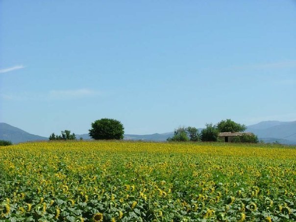Umbria 2009 - Bevagna e Assisi (Foto Marco Favaro)