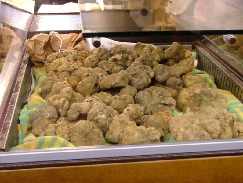 Alba (Fiera del Tartufo) - 15 ottobre 2006