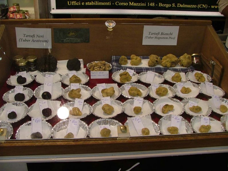 Alba (Fiera del Tartufo) - 15 ottobre 2006
