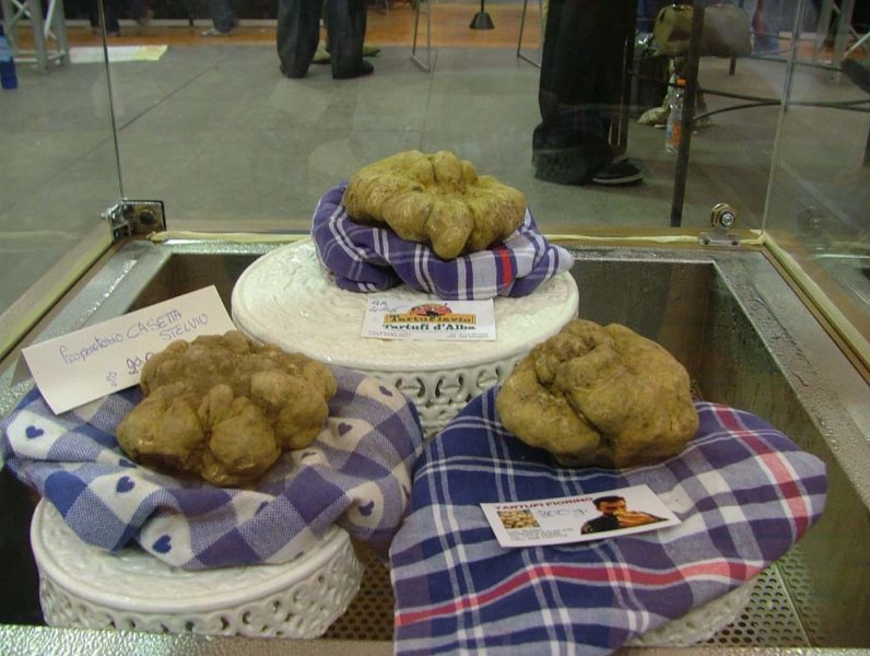 Alba (Fiera del Tartufo) - 15 ottobre 2006