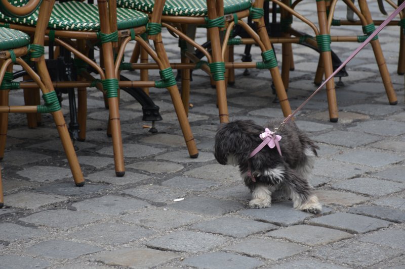 Baiern - Settermbre 2015 (Foto Alder Sucquet)