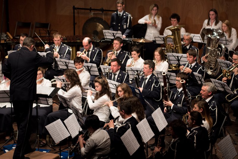 Festival des harmonies 2015 (Foto Luca Di Nardo)