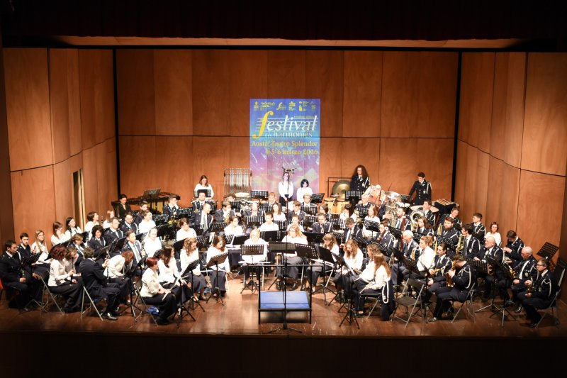 Festival des harmonies 2016 (Foto: Luca Di Nardo)