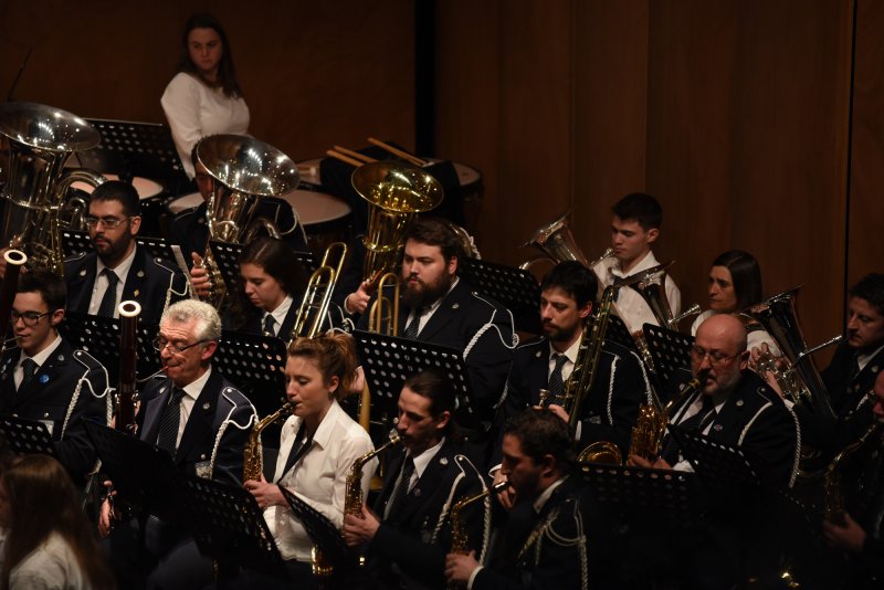 Festival des harmonies 2016 (Foto: Luca Di Nardo)