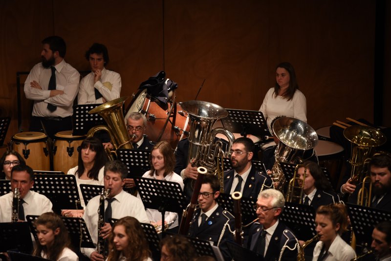 Festival des harmonies 2016 (Foto: Luca Di Nardo)