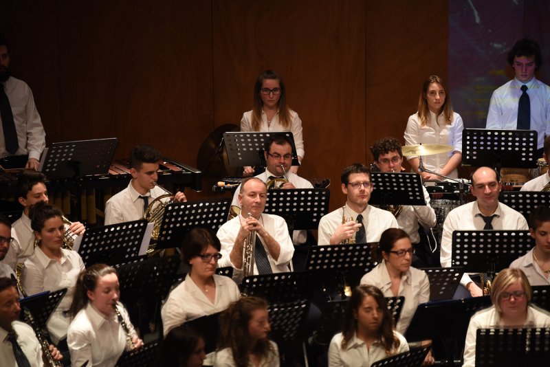 Festival des harmonies 2016 (Foto: Luca Di Nardo)