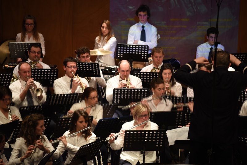 Festival des harmonies 2016 (Foto: Luca Di Nardo)