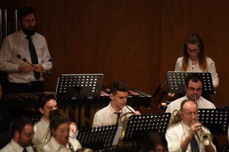 Festival des harmonies 2016 (Foto: Luca Di Nardo)