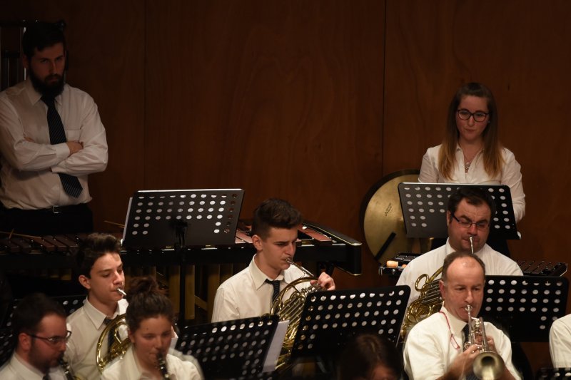 Festival des harmonies 2016 (Foto: Luca Di Nardo)