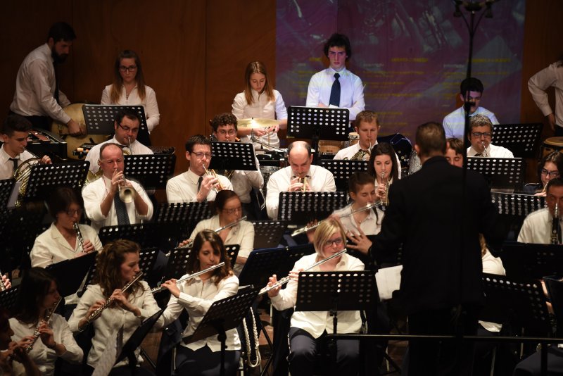 Festival des harmonies 2016 (Foto: Luca Di Nardo)