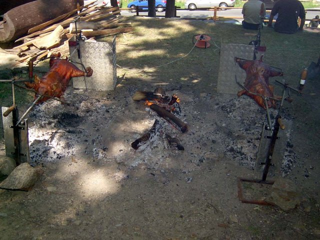 San Lurensin 2003