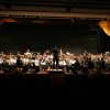 Santa Cecilia 2006