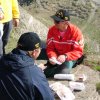 Zerbion - 12 giugno 2005
